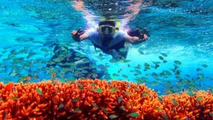 Snorkeling di Pulau Menjangan TN Bali Barat, Indahnya Surga Bawah Laut , Jika sedang berwisata di Kabupaten Banyuwangi, Jawa Timur, maka tidak ada salahnya untuk menjajal pengalaman snorkeling.